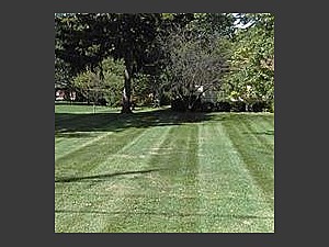 Lawn Striping, Euclid, OH 